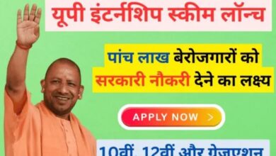 UP Internship Scheme 2024: ऑनलाइन आवेदन | UP Internship Scheme एप्लीकेशन फॉर्म