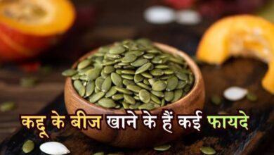 Pumpkin Seeds: pumpkin के बीजों के अनजान फायदे, जानकर हो जाएंगे हैरान