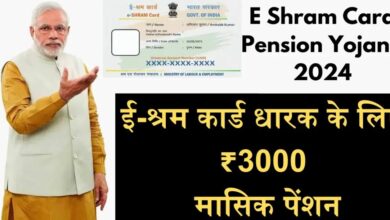 E-Shram Card Pension Yojana: असंगठित क्षेत्र के श्रमिकों को वित्तीय सहायता प्रदान करने के लिए भारत सरकार द्वारा शुरू की गई योजना